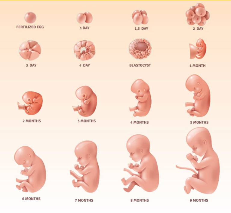 Mẹ bầu bị trầm cảm có ảnh hưởng gì đến thai nhi không?
