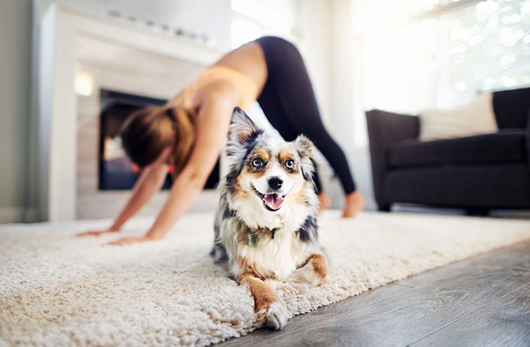 rối loạn lo âu có làm tăng huyết áp rối loạn lo âu tăng huyết áp