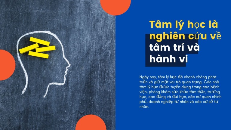 Nhà tâm lý học là gì