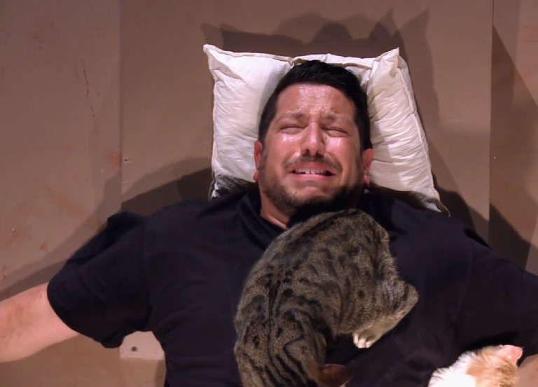 Ailurophobia