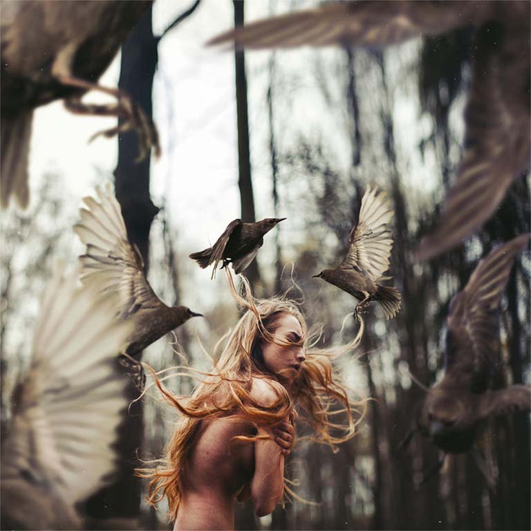 Ornithophobia