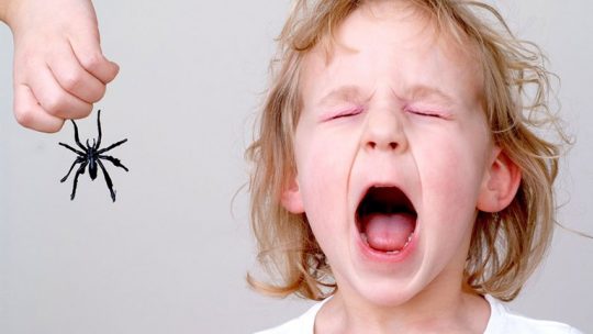 Chứng sợ động vật