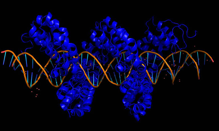 Rett Syndrome là gì Rett Syndrome là gì