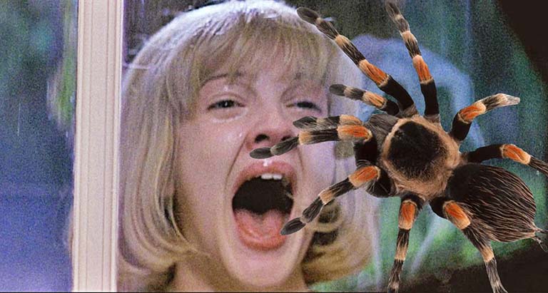 Arachnophobia là gì?