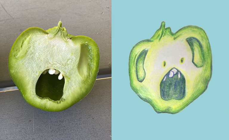 Pareidolia